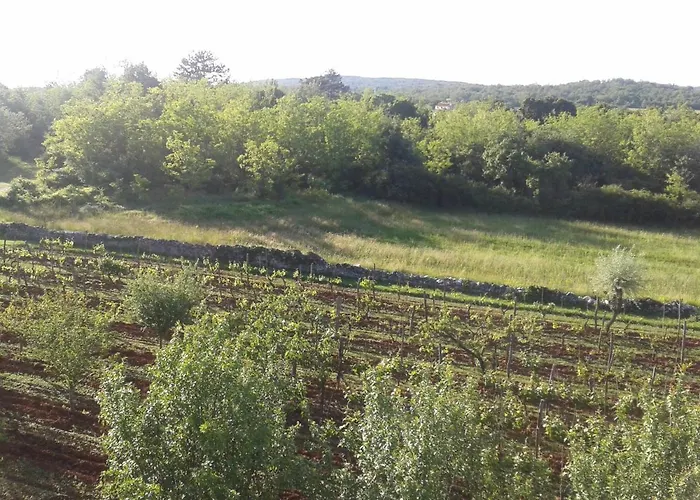 Irene Lejlighed Grožnjan